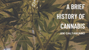 Joe Caltabiano A BRIEF HISTORY OF CANNABIS
