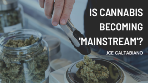 Joe Caltabiano Is Cannabis Becoming Mainstream?