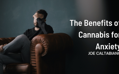 The Benefits of Cannabis for Anxiety