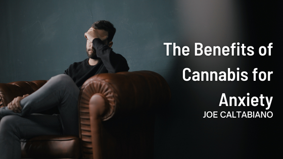 Joe Caltabiano The Benefits of Cannabis for Anxiety