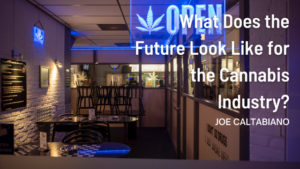 Joe Caltabiano What Does the Future Look Like for the Cannabis Industry?