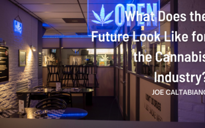 What Does the Future Look Like for the Cannabis Industry?