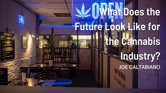 What Does the Future Look Like for the Cannabis Industry?