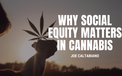 Why Social Equity Matters in Cannabis