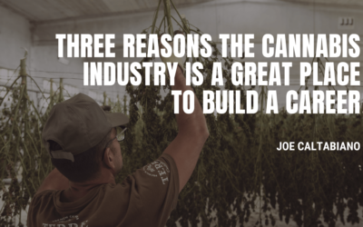 Three Reasons the Cannabis Industry is a Great Place to Build a Career