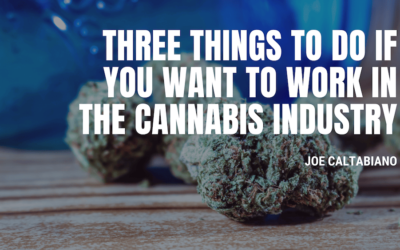 Three Things to Do if You Want to Work in the Cannabis Industry
