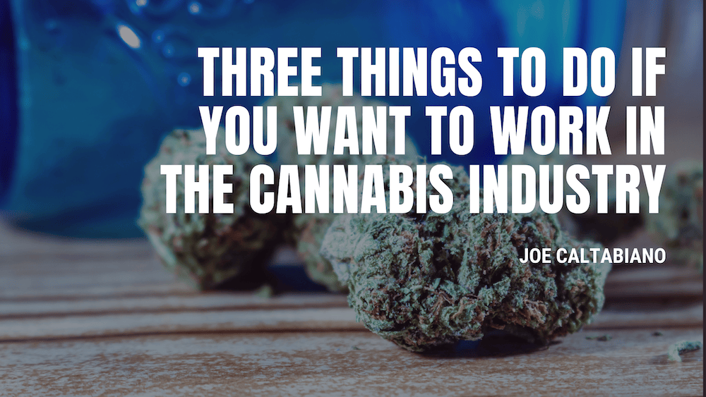 Three Things to Do if You Want to Work in the Cannabis Industry